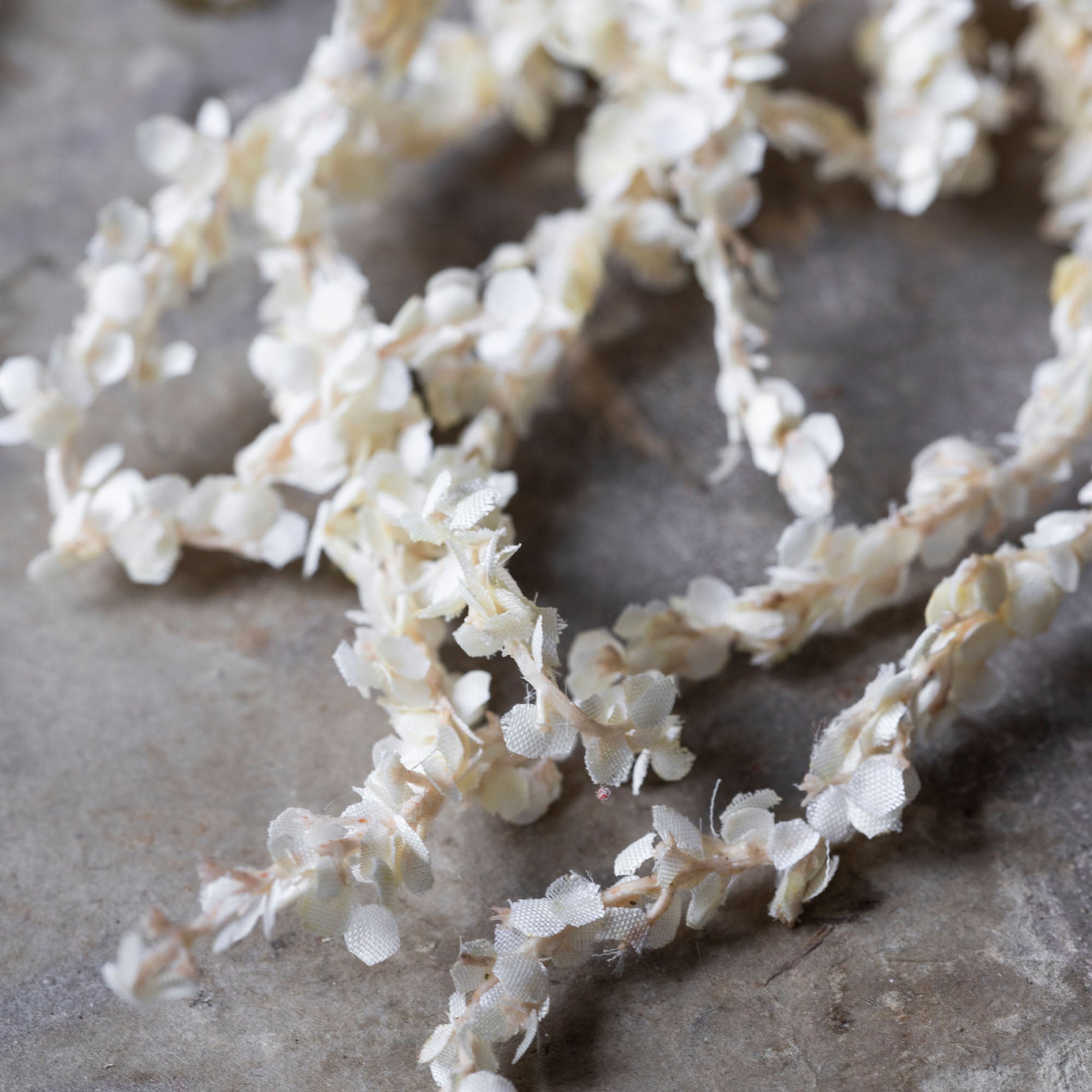 AA-L11-003 Amaranthus Cream Stem