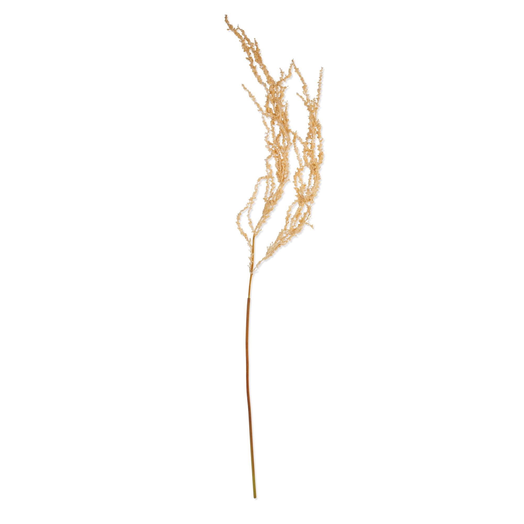 AA-L11-003 Amaranthus Cream Stem