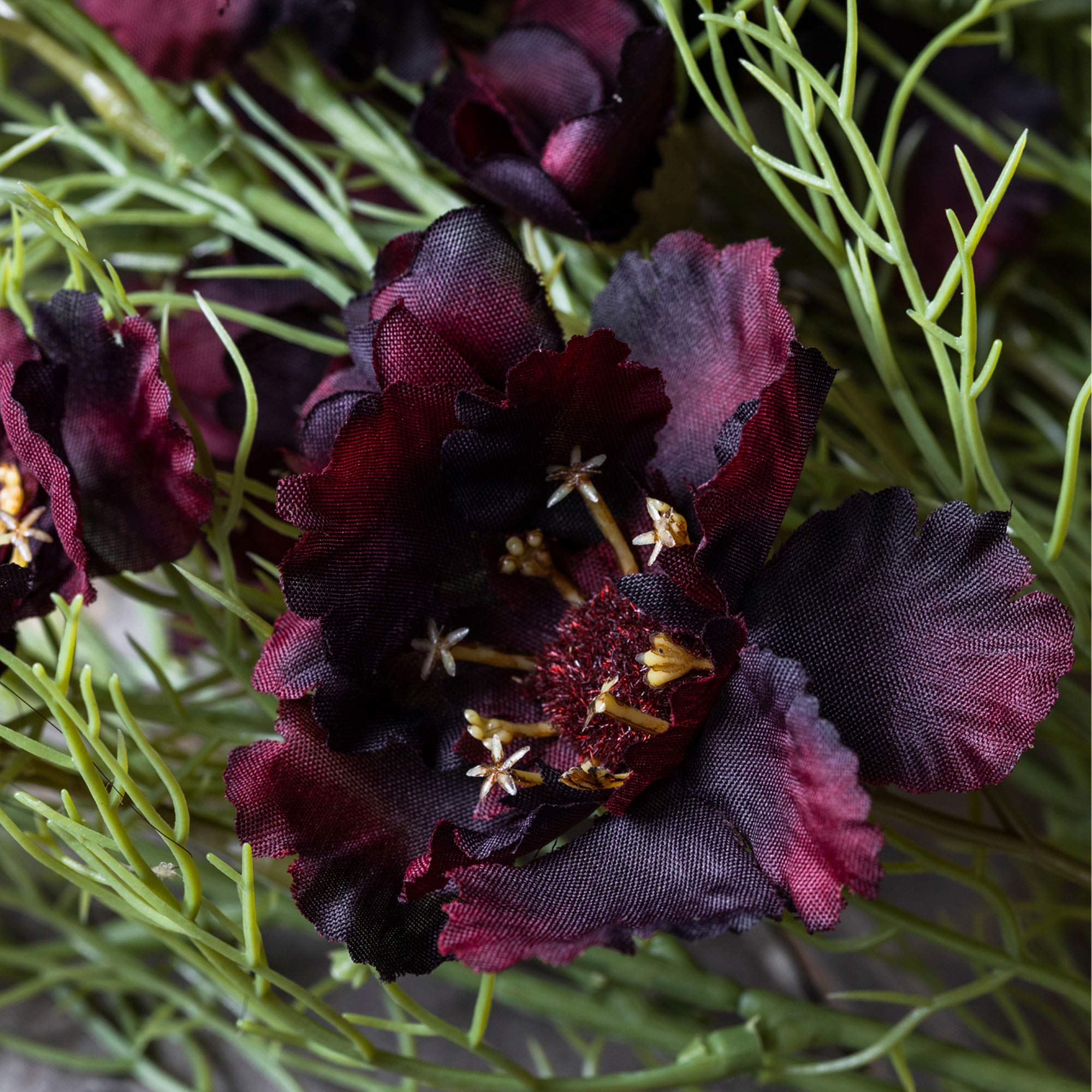 AA-L9-016 Cosmos Burgundy Stem