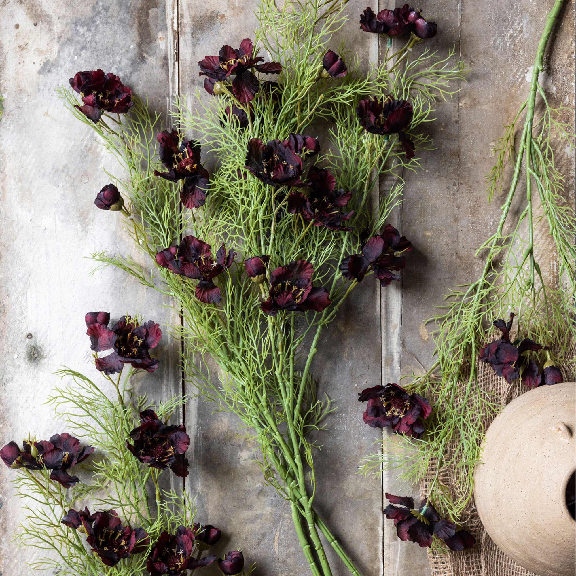 AA-L9-016 Cosmos Burgundy Stem