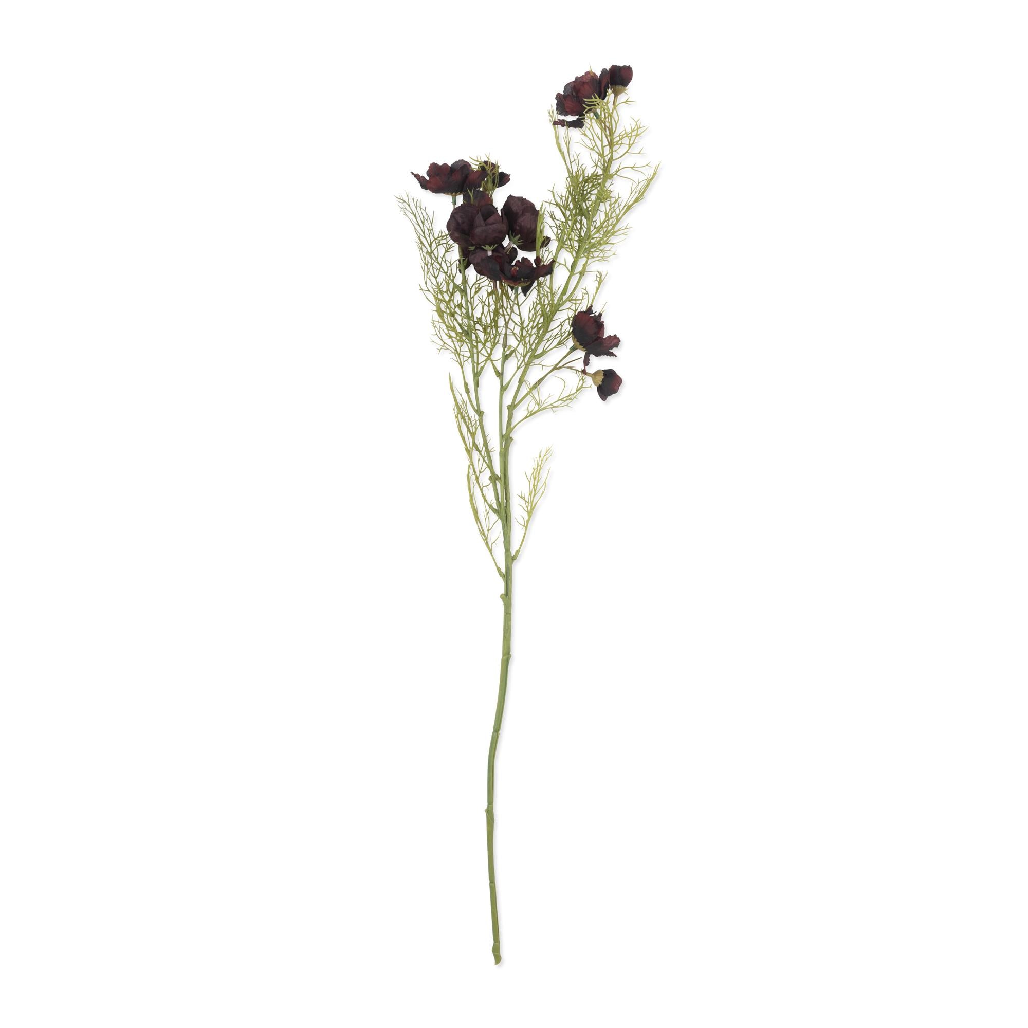 AA-L9-016 Cosmos Burgundy Stem
