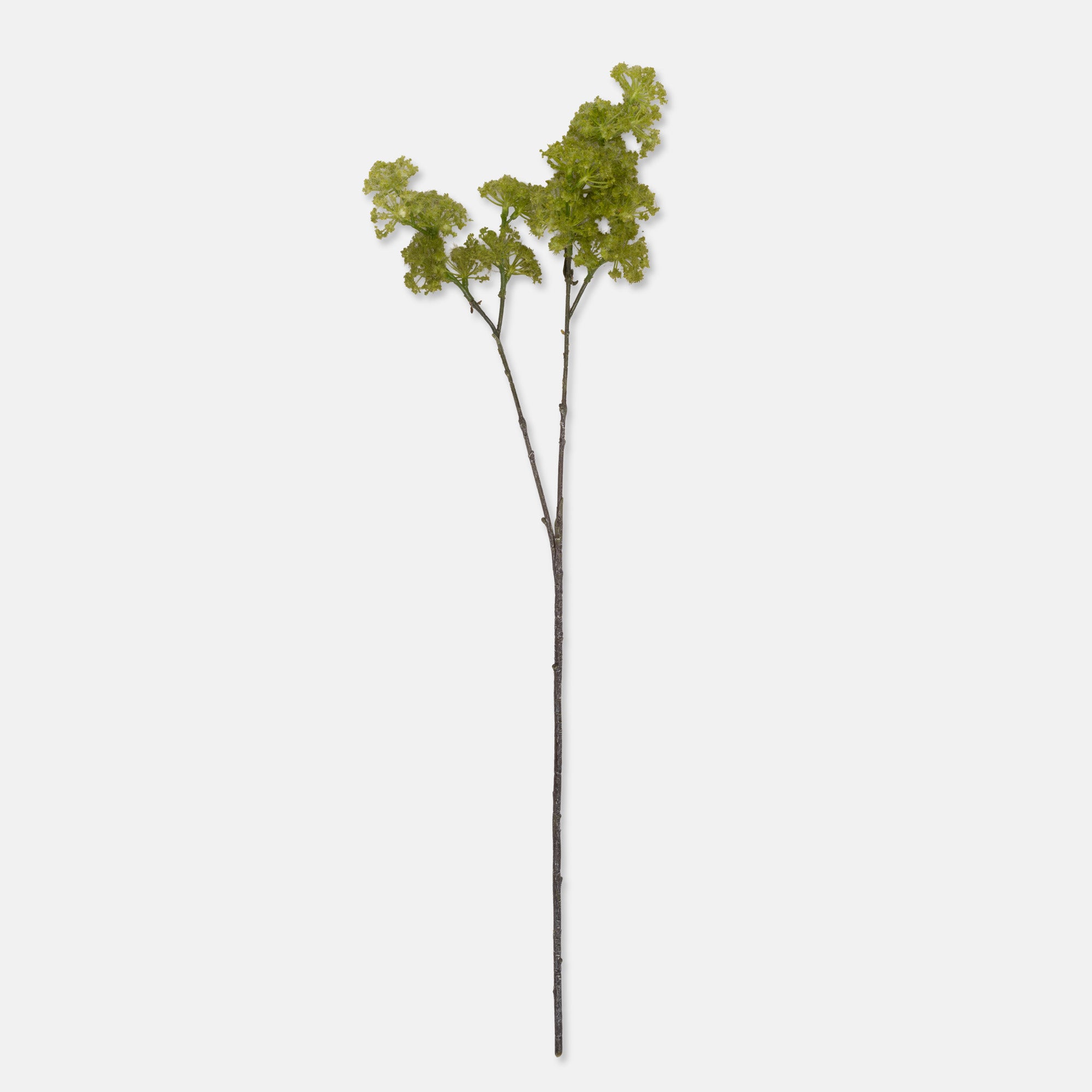 AA-N1-061 Artificial Guelder Spring Green
