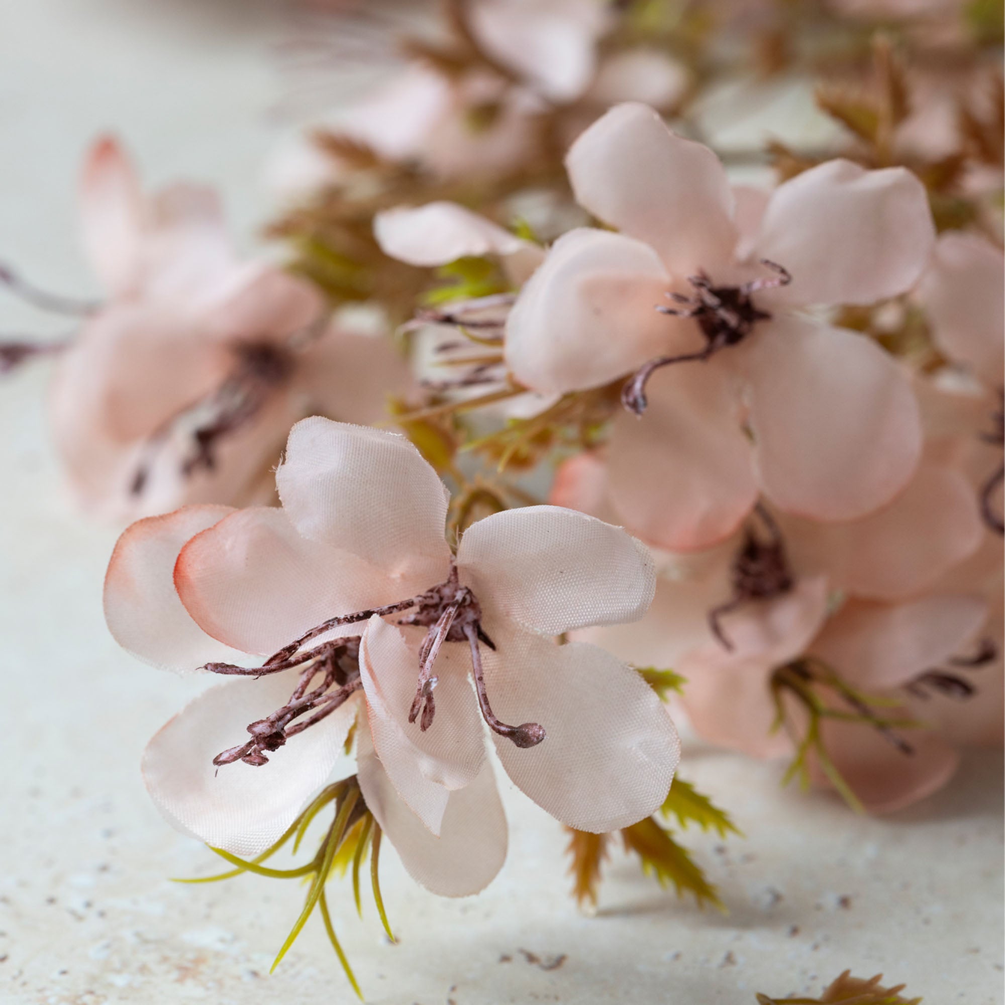 AA-G4-074 Prunus Blossom Stem