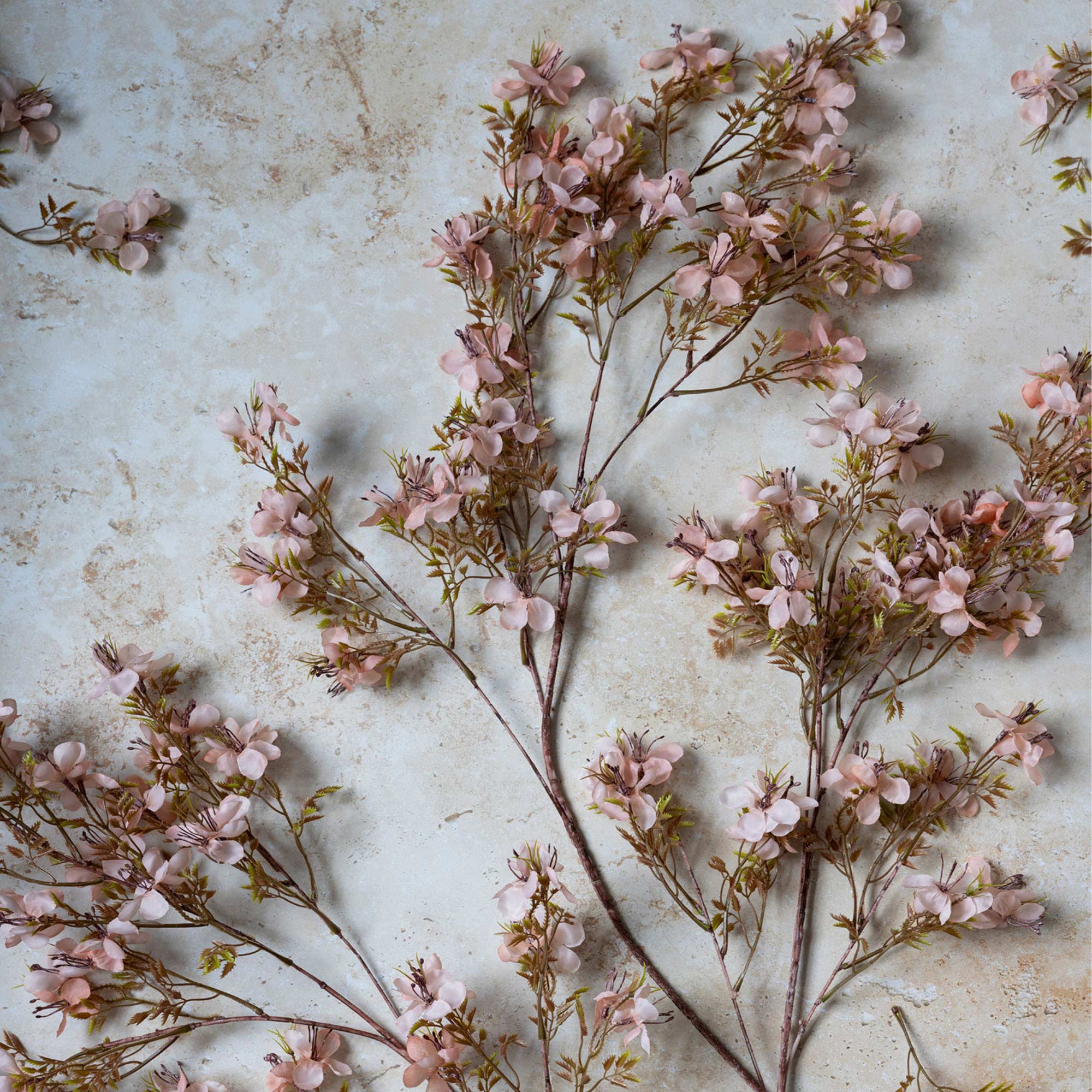 AA-G4-074 Prunus Blossom Stem