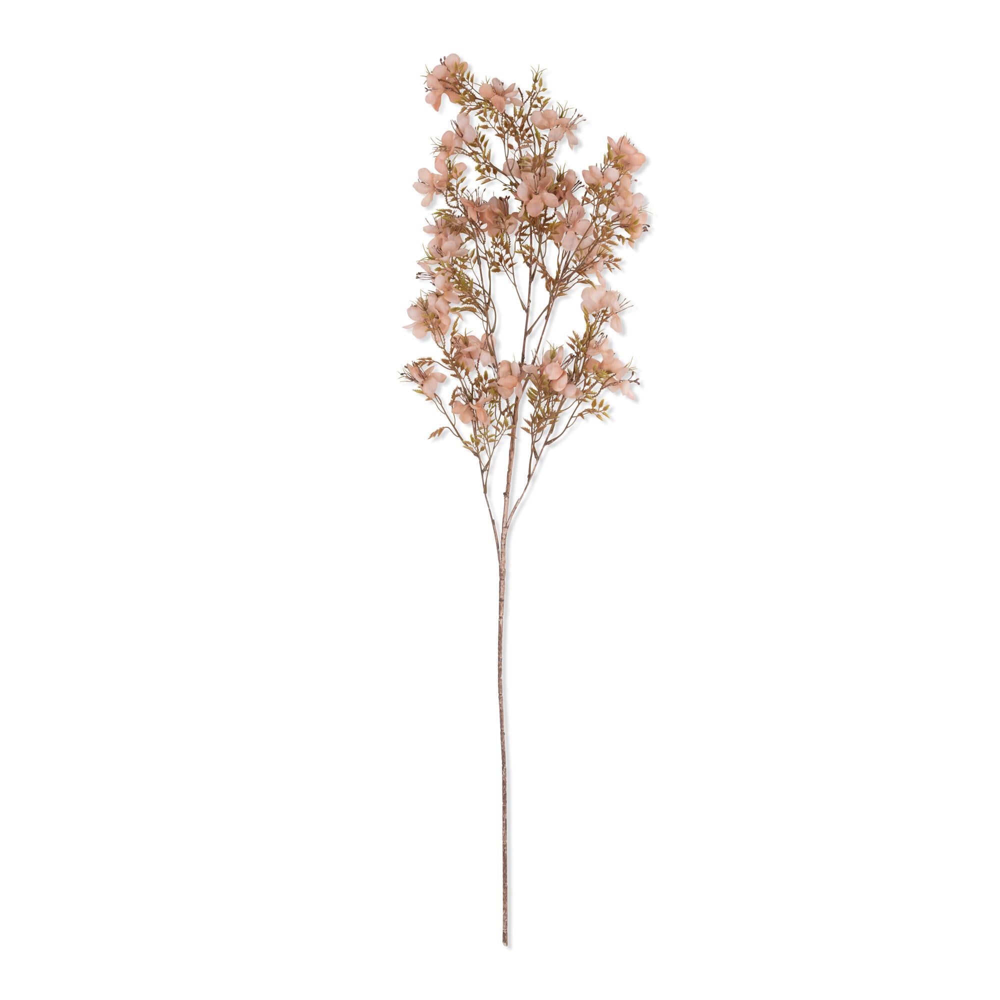 AA-G4-074 Prunus Blossom Stem