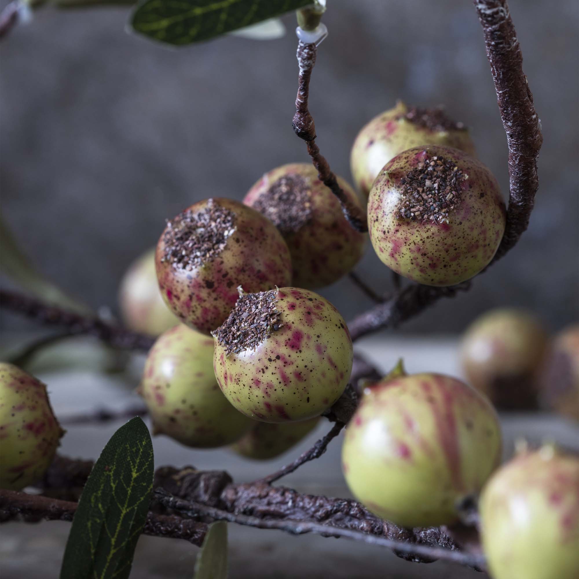 AA-N4-006 Artificial Rosehip