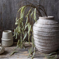 AA-G4-077 Trailing Catkin Stem