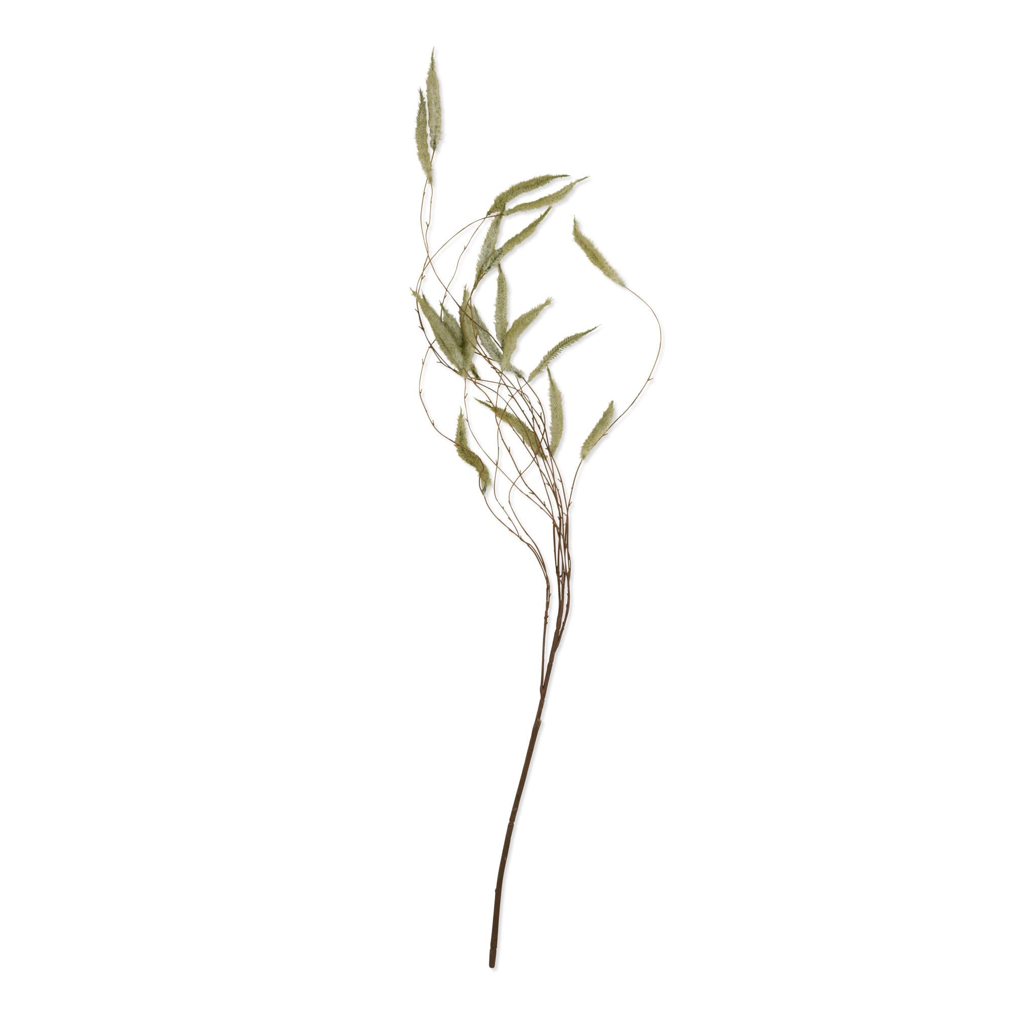 AA-G4-077 Trailing Catkin Stem