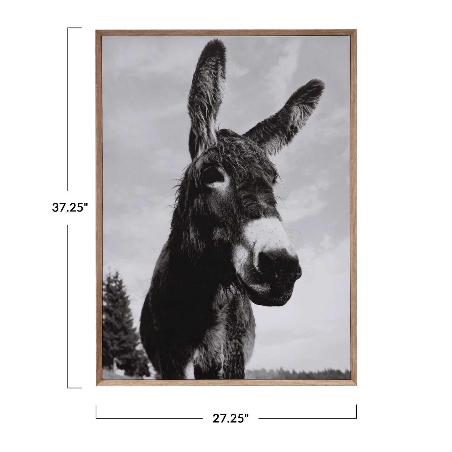 DG4755 Framed Canvas Donkey Head Wall Decor