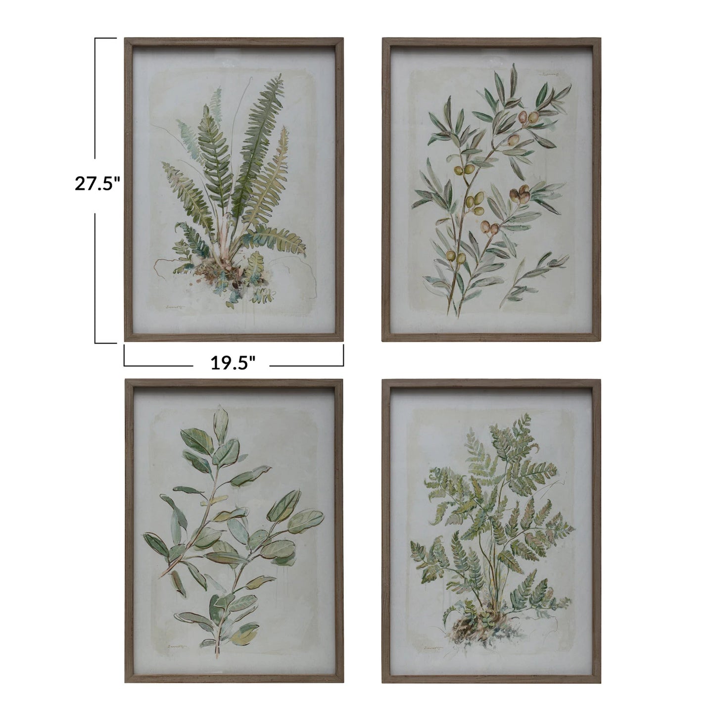 DF6782A Wood Framed Botanical Print
