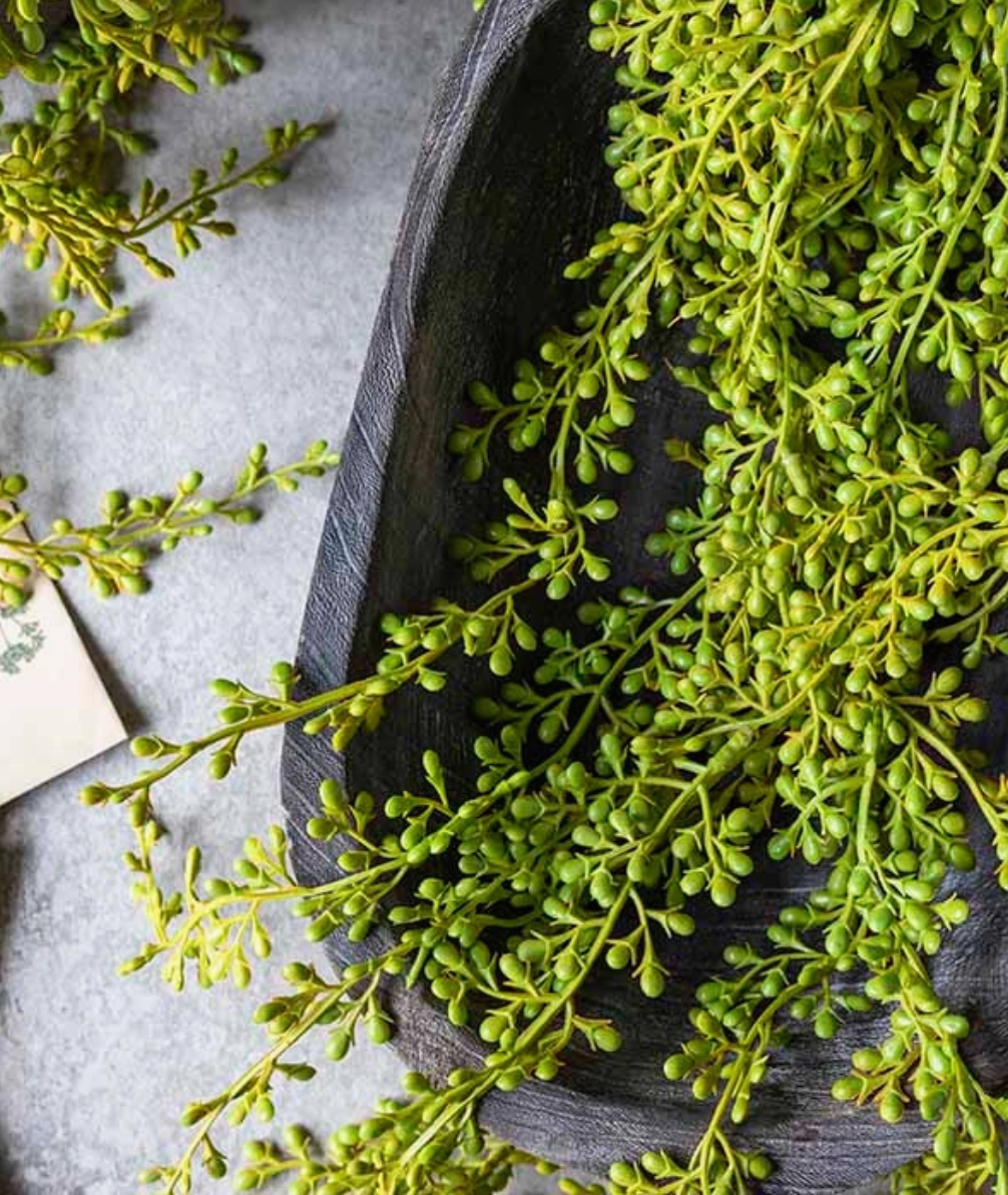 Creeping Sedum Artificial Flower Stem